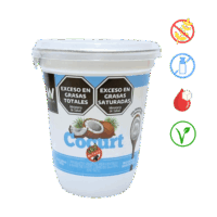 Yogurt coco Whole Life 300g